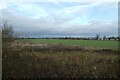 Grassland beside the railway path