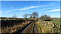 Track leading NW towards Ecklands near Millhouse Green