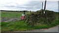 Overgrown Stile