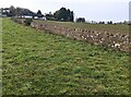 Long stone wall, Buckover, South Gloucestershire