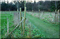 Churchyard, Boston Spa