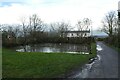 Pond near Eland Hall Farm