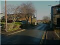 Trees next to Waterloo Road, Brighouse