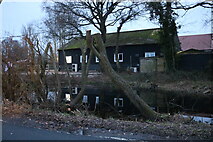 TL5903 : Pond on Rookery Road, Nine Ashes by David Howard