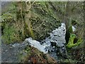 Small waterfall on Hacked Way Lane