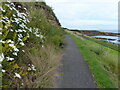 Path near Roome Harbour at Crail