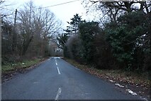 TL6000 : Blackmore Road south of Blackmore by David Howard