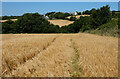 Farmland, Gweek