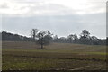 Surrey farmland