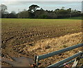 Arable field by Parsonage Cross