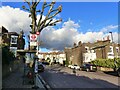 Pepys Road, with bus stop and plane tree, Brockley