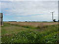 Field and barn at Lodge Farm