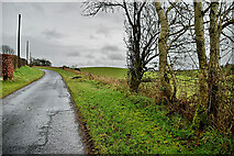 H5064 : Meenmore Road by Kenneth  Allen