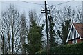 Traditional telegraph pole on Roman Road, Mountnessing