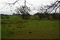 Field north of Brookledge Lane, Adlington