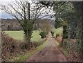 Bridleway at Castle Hill