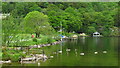 Ullswater shoreline at Glenridding