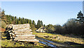 Ramshaw House beyond timber stack