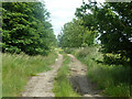 Farm track, former RAF Matching