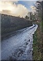 ST3789 : Wet lane in Langstone by Jaggery