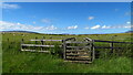 On path between Pont Towyn & Cefn - footbridge over un-named stream