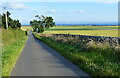 Kilrenny Lane near Blacklaws