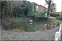 TL2463 : Pond on High Street, Graveley by David Howard