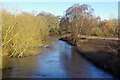 River Trent, Wolseley Bridge