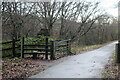 Byway at the Afon Lwyd Trail, NCR 492