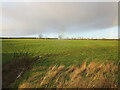 Grass field near Waterleys Farm