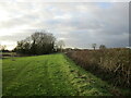 Wide verge near Langham