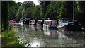 Grand Union Canal at Bourne End - view W