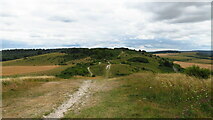 SP9516 : View south towards Steps Hill as seen from Beacon Hill, Ivinghoe by Colin Park