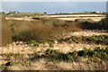 Heathland, Wendron