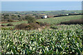 Farmland, Sithney