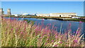 Industrial works at Haverton Hill as seen across R Tees