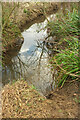 Hook Norton Brook