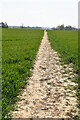 Footpath across field