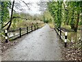 Nutbrook Canal and Bridge