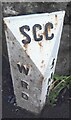 Old Boundary Marker on the A371 near Shoalford House