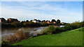 The River Trent & East Stockwith