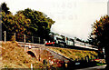 Steam train at West Grimstead