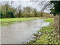 Flooded Field