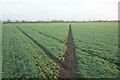 Footpath towards Meads Farm