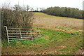 Field and wood west of Cradle House Farm