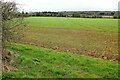 Arable field near Cradle Barn