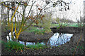 Ornamental island near Waterslade Farm