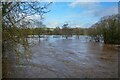 Brushford : Exebridge - River Exe