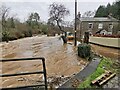 Tiverton : Cove - Mill Leat