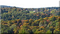 View towards The Narth from Coxbury Farm, Wye Valley